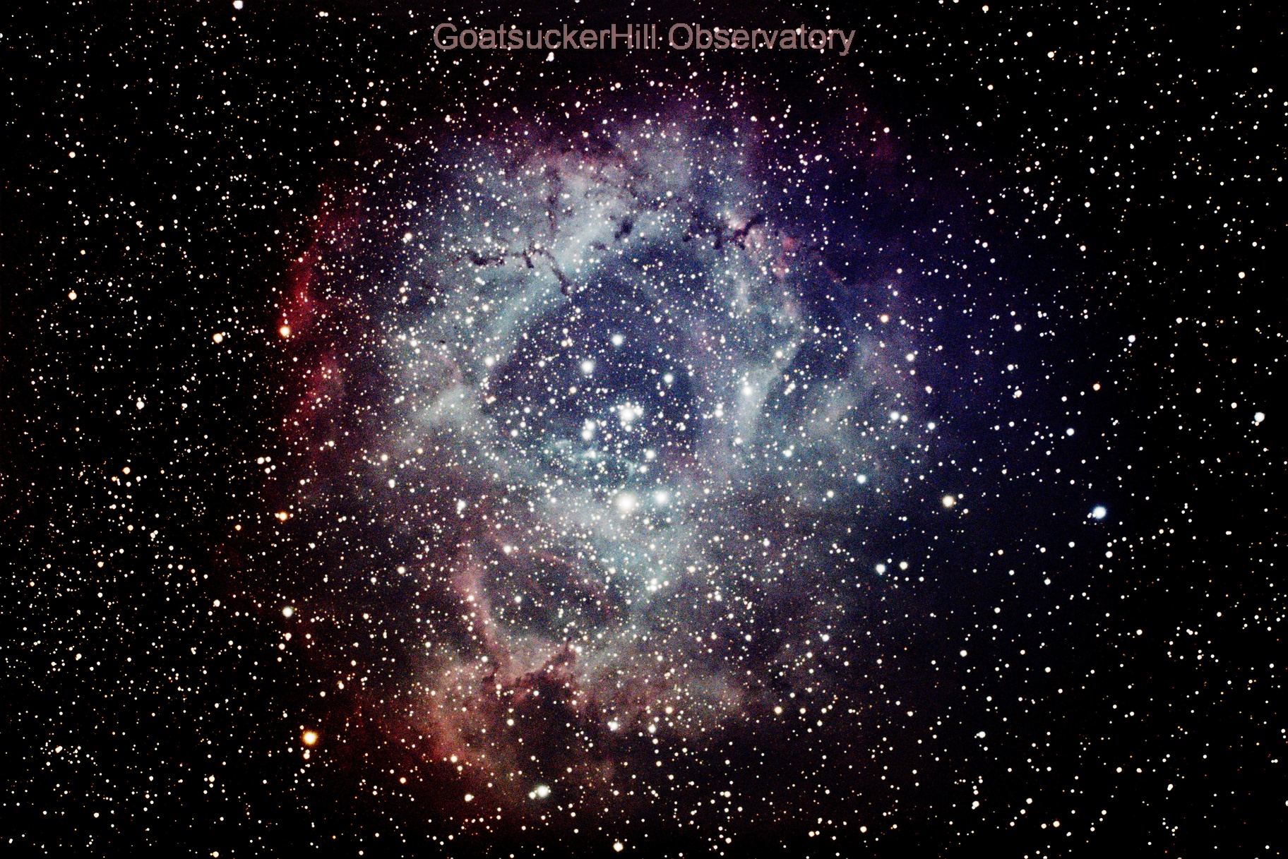 NGC 2238, the Rosette Nebula